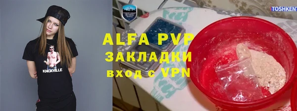 шишки Аркадак