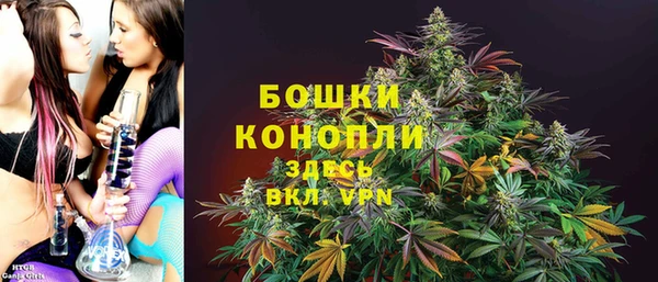 PSILOCYBIN Билибино