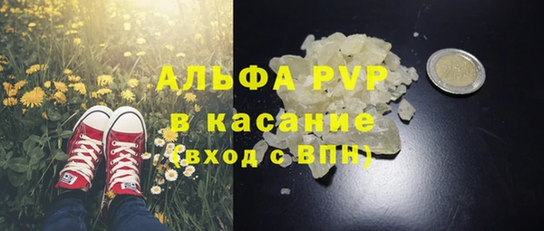 шишки Аркадак