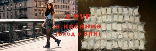 шишки Аркадак