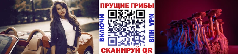 Псилоцибиновые грибы мухоморы  Ковылкино 